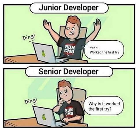 junior vs senior developer meme